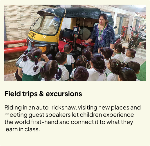 Field trips and excursions